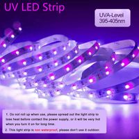 Stock en EE.UU. al por mayor 10m 32.8ft LED LED Ultraviolet Purple Black Light Strip 2835 DC 12V Noche Barco de pesca UV Lámpara flexible