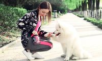 Pet Snack Çanta Kedi Köpekler Köpekler Için Yavru Su Geçirmez Oxford Bez Eğitim Çantaları Obedience Eller Serbest Çeviklik Yem Gıda Tedavi Kılıfı Tren Kılıfı