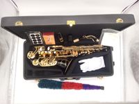 Japon YANAGISAWA A-992 E düz Alto saksofon Siyah Nikel Altın Müzik aleti Yeni Saksafon Profesyonel With Kılıf