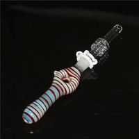 Smoking Glass Nectar Collector Mini Tubi Acqua con GR2 Titanium Nail 10mm Concentrato DAB Straw Tubo Straw Pan