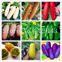 2020 Hot Sale 100 Pcs/bag Cucumber Bonsai, Green Organic Fruits Vegetables Bonsai Non-GMO Cucumber For Home Garden Planting Cucumber seeds