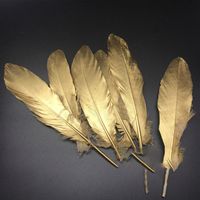 Wholesale Cheap Hat Feathers - Buy in 