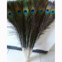 Wholesale Peacock Wedding Decorations - Buy Cheap Peacock ...