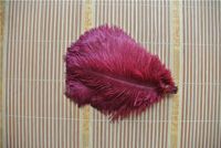 Wholesale burgundy Ostrich Feather inch wedding Centerpieces Wedding Decoration party supplies event supply decor crafts