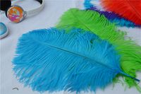 Wholesale inch White black burgundy hot pink red royal blue turquoise ivory purple gold Ostrich Feather Wedding centerpiece