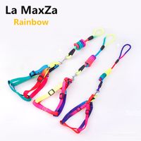 Wholesale 2020 New Fashion Dog Leashes Harness Sets Rainbow Color Strong Nylon Leads Leashes Harness Dog Pet Product Accessories Big Size