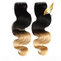 Wholesale Dip Dye Hair Extensions - Buy Cheap Dip Dye Hair ...