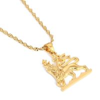 Wholesale Gold Color Pendant Africa Ethiopia Map Lion King Gold Jewelry for Women Men Gift Wedding Bridal Party Jewelry