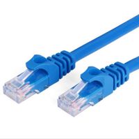 Wholesale Ethernet Cable CAT6 ft M m m RJ45 with Shield Network Patch Cable Lan Cable Cord Blue Color Wire Jumper Network Connections RJ45 CAT