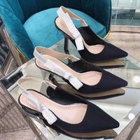 Wholesale classic High heeled sandals Gladiator Leather summer designer Women Fine heel Heels shoe Fashion sexy letter cloth lady Webbing Pointed shoes Large size
