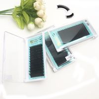 Wholesale 12 lines in a tray Easy Fan Blooming Eyelash Extension Austomatic Flowering Fast Fan Self Making Fans Volume Lashes Drop Shipping