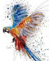 Wholesale Flying Bird Parrot Oil Painting DIY x50cm Canvas Home Decoration Wall Art Picture Gift Animal Painting