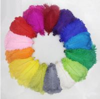 Wholesale 100pcs Lot 12 14inch Ostrich Feather Plume White Pink Yellow Purple Red Ivory Gold Royal Blue Black Turquosie Orange Green Z134c