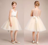 Wholesale Champagne Flower Girl Dresses For Weddings Sheer Neck See Through Appliques Sash Short Girls Pageant Dress Child Birthday Prom Gowns