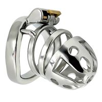 Wholesale Stainless Steel Chastity Cock Cage With Stealth Lock Ring BDSM Adult Sex Toy For Man Penis Bondage