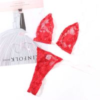 Wholesale Womens Sexy Lingerie Set Exotic Bra Set Minimal Cover Bikini Lacing Strap with Thong Three Point Babydolls Sexy Lace Bra