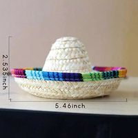 Wholesale Mini Pet Dogs Straw Hat Sombrero Cat Sun Hat Beach Party Straw Hats Dogs Hawaii Style Hat for Dogs Funny Accessories