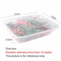 Wholesale 1 Box Real Dried Flower Dry Plants For Aromatherapy Candle Epoxy Resin Pendant Necklace Jewelry Making Craft DIY Accessories