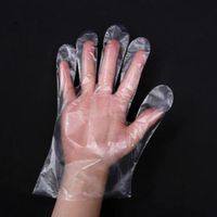 Wholesale 100pcs Disposable Gloves for Kitchen Cooking Cleaning BBQ Fruit Vegetable One off Gloves Plastic Daily Use Protective HHA1298