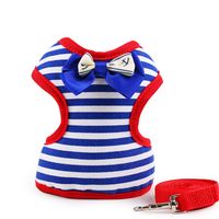 chihuahua accessories uk