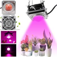 Wholesale LED Grow Lights Indoor Plant K W Sunlike Full Spectrum Plants Light with Heat Dissipation COB Growing Lamp for House Planting