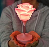 Wholesale Creative romantic atmosphere silicone lamp usb charging touch three speed dimming rose night light led night light