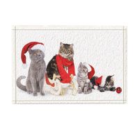 Shop Cat Floor Mats Uk Cat Floor Mats Free Delivery To Uk