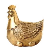 Papa coq gros