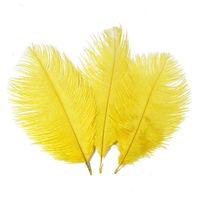 Wholesale 100 Natural inch cm Ostrich Feathers DIY Craft Plume Wedding Party Centerpieces Home Decoration