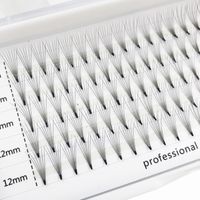 Wholesale Flash girl Lash Pre Made Fans rows D C mm Private Label Volume Eyelash Trays Your Own Brand Eyelash Extensions
