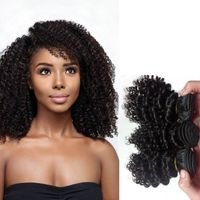 Wholesale Brazilian Vietnam Virgin Human Hair weaves inch hair weft Unprocessed Indian European Kinky Curly remy hair Extensions Natural black
