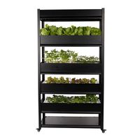 Indoor Hydroponic Grow Box Australia New Featured Indoor