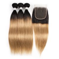 Wholesale Free Ombre Hair Dye For Resale Group Buy Cheap Free