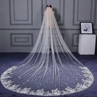 Wholesale Champagne Tulle Approx Meters Long Bridal Veils with Lace Appliques Charming Ivory Wedding Veil Accessories velo de novia largo
