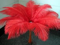 Wholesale a beautiful ostrich feathers cm for Wedding centerpiece Table centerpieces Party Decoraction supply EEA194