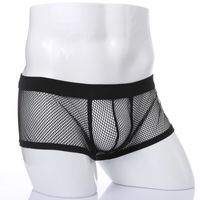 Wholesale Black White Sexy Mens Boxers Shorts Transparent Mesh See Through Erotic Underpants Low Rise Man Sex Underwear Lingerie Trunk