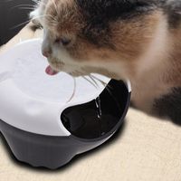 Wholesale Automatic Circulation Filter Oxygenation Water Dispenser Dog Water Bowl Electric Fountain Dispenser Pet Cat Dog Foun