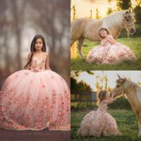 Wholesale Blush Pink Girl Ball Gown Pageant Dresses Butterfly D Appliques Lace Toddlers Girls Gowns First Holy Communion Dress For Wedding