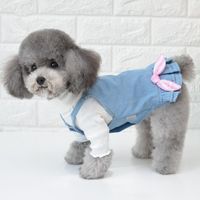 dog shirts australia