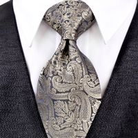 Wholesale J20 Paisley Multicolor Champagne Khaki Black Dark Gray Mens Ties Neckties Pocket Square Silk Elegant Tie Set
