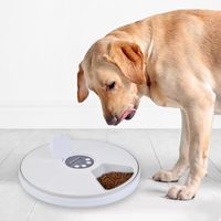 Meal Automatic Pet Feeder Nz Buy New Meal Automatic Pet Feeder