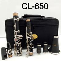 Wholesale student Clarinets Bb CL Matte ABS Resin key Clarinet Student adult getting Started Woodwind Instrument Mouthpiece case