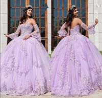 Wholesale Popular Lavender Long Sleeves Quinceanera Dresses New Lace Applique Plus Size Lace Up Church Bridal Wear Sweet Prom Gowns
