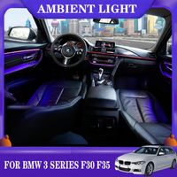 Wholesale LED Ambient Light car neon Interior Door AC Panel Decorative Light Atmosphere light For BMW series F30 F35