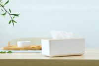 Wholesale Household Removable Tissue boxes home Kitchen Wooden Plastic Tissue Box Solid Wood Napkin Holder Case Simple Stylish