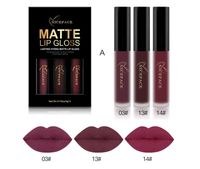 Wholesale DHL set NICEFACE Waterproof Matte Liquid Lipstick Makeup Set Long Lasting Kiss proof Lip Gloss Create Nude Beauty Velvet Lips