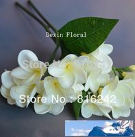 Wholesale REAL TOUCH FLOWERS White pink fushia frangipani spray bridal wedding bouquets pc with stem frangipani flowers