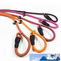 Wholesale Dog Slip Leashes Durable Braided Nylon Rope CM Training Leash Lead and Collar for Pet Large Puppy Dot Factory price expert design Quality Latest Style Original