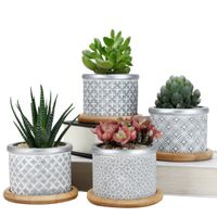 View Indoor Plant Pots Canada Background