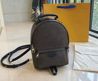 Wholesale Hight quality fame Women s Palm Springs Backpack Mini leather book backpacks women printing leather backpack MN4578